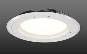 downlight; downlights; led downlights